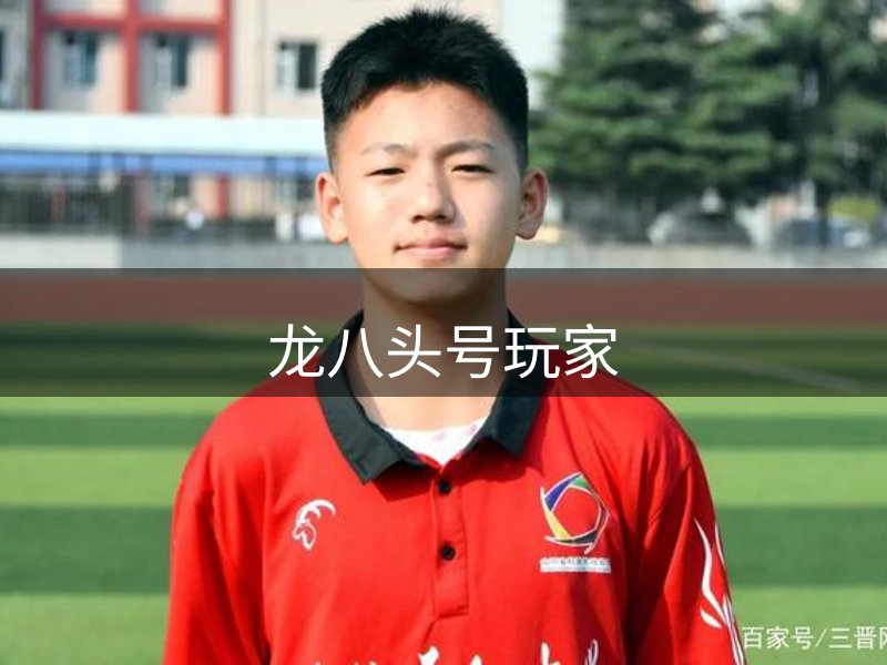 龙八头号玩家概况