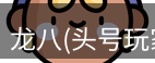 龙八头号玩家